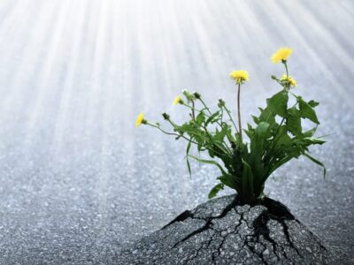 Hoffnung und Kraft gebende Sprüche