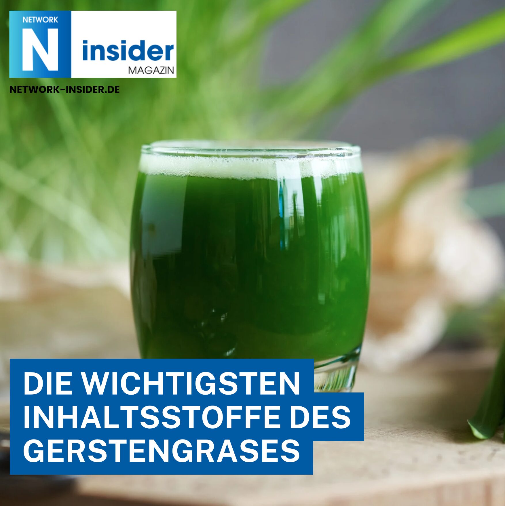 Die wichtigsten Inhaltsstoffe des Gerstengrases