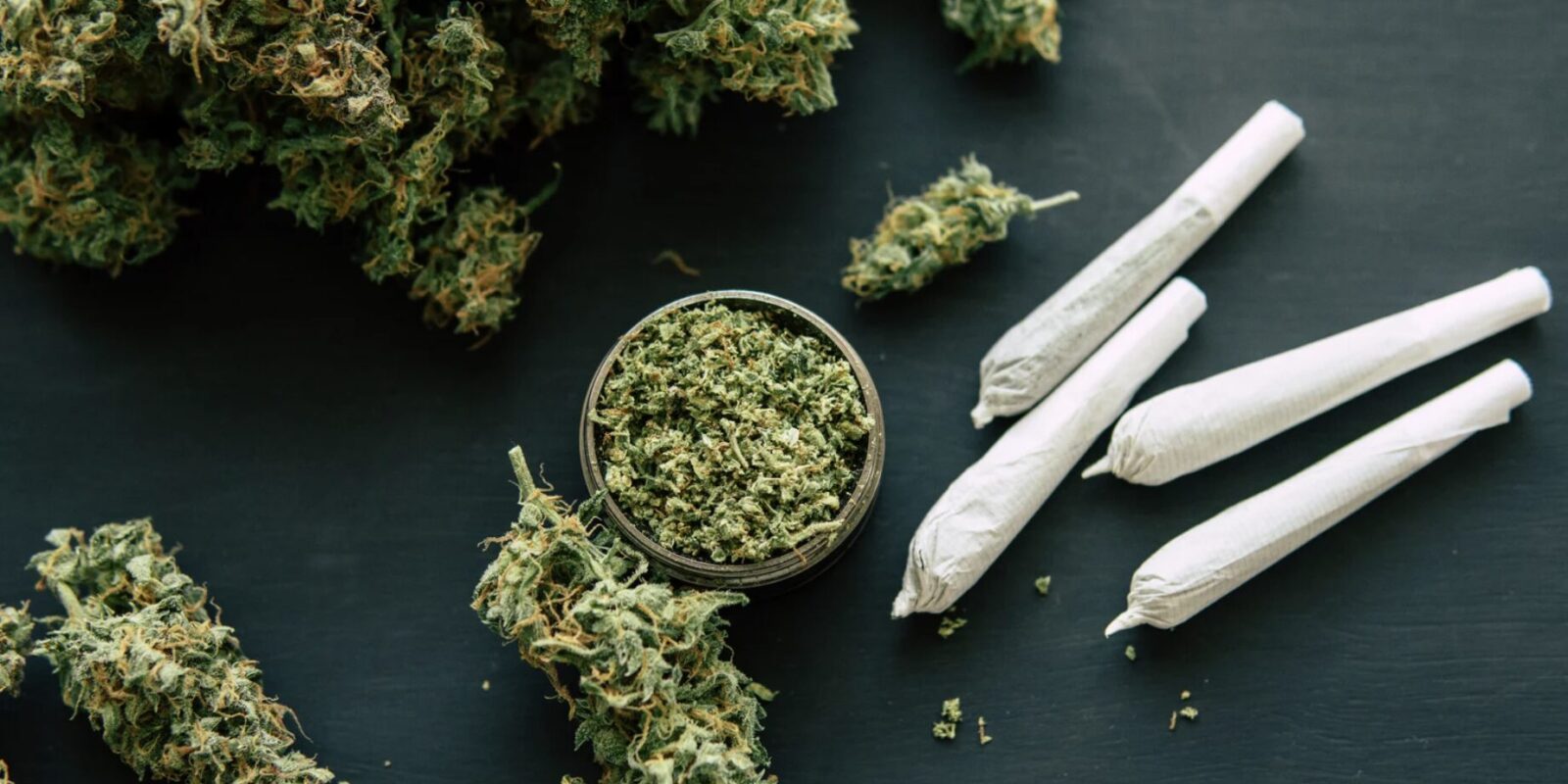 Cannabis Social Club gründen