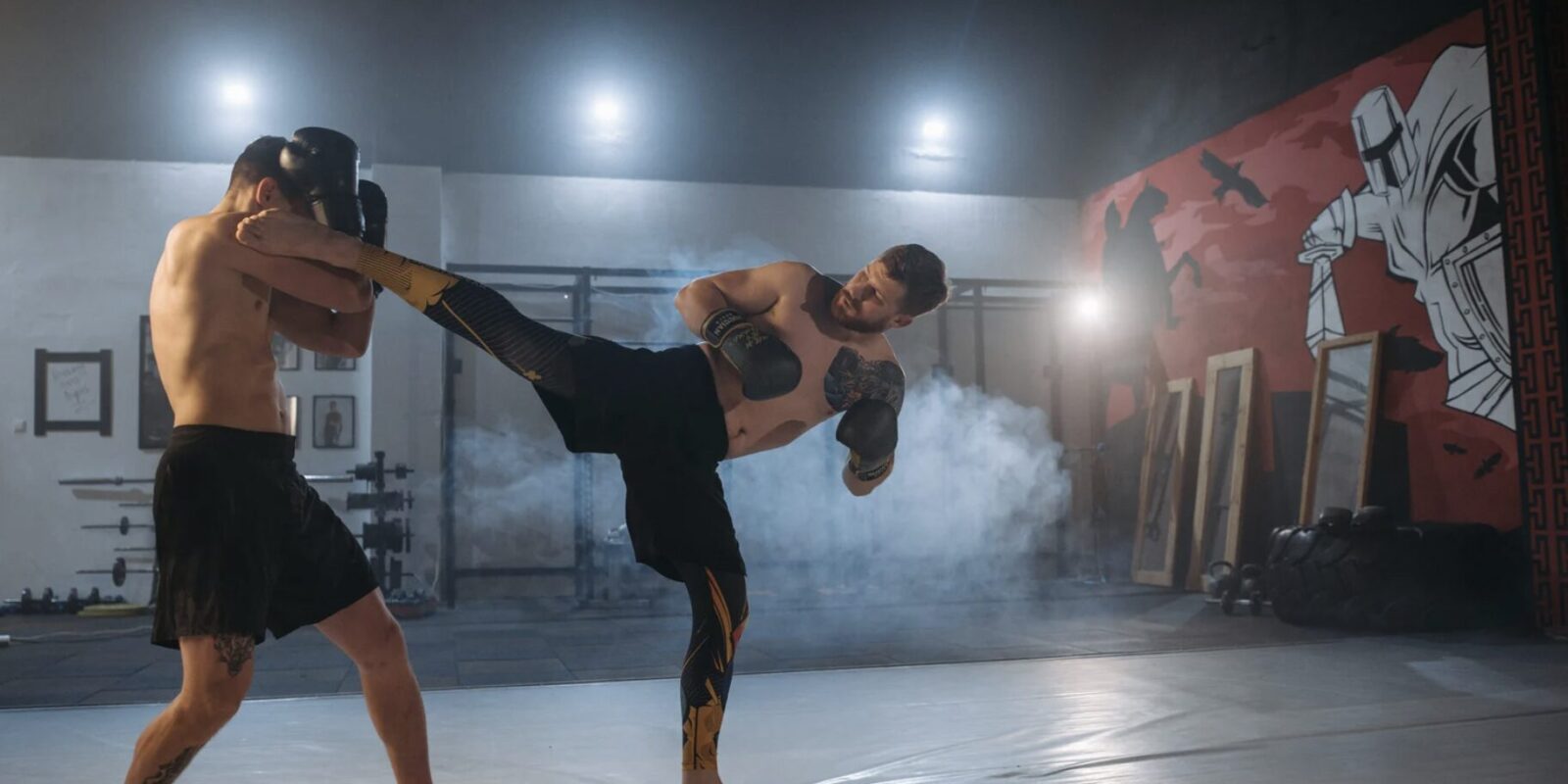 Dustin Poirier Vermögen