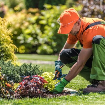 Selbständig als Gärtner ohne Ausbildung So gelingt der Einstieg